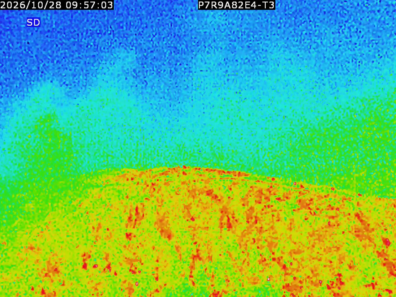 thermal-lilin_202610280957.mp4