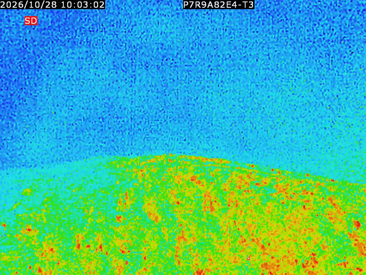 thermal-lilin_202610281003.mp4
