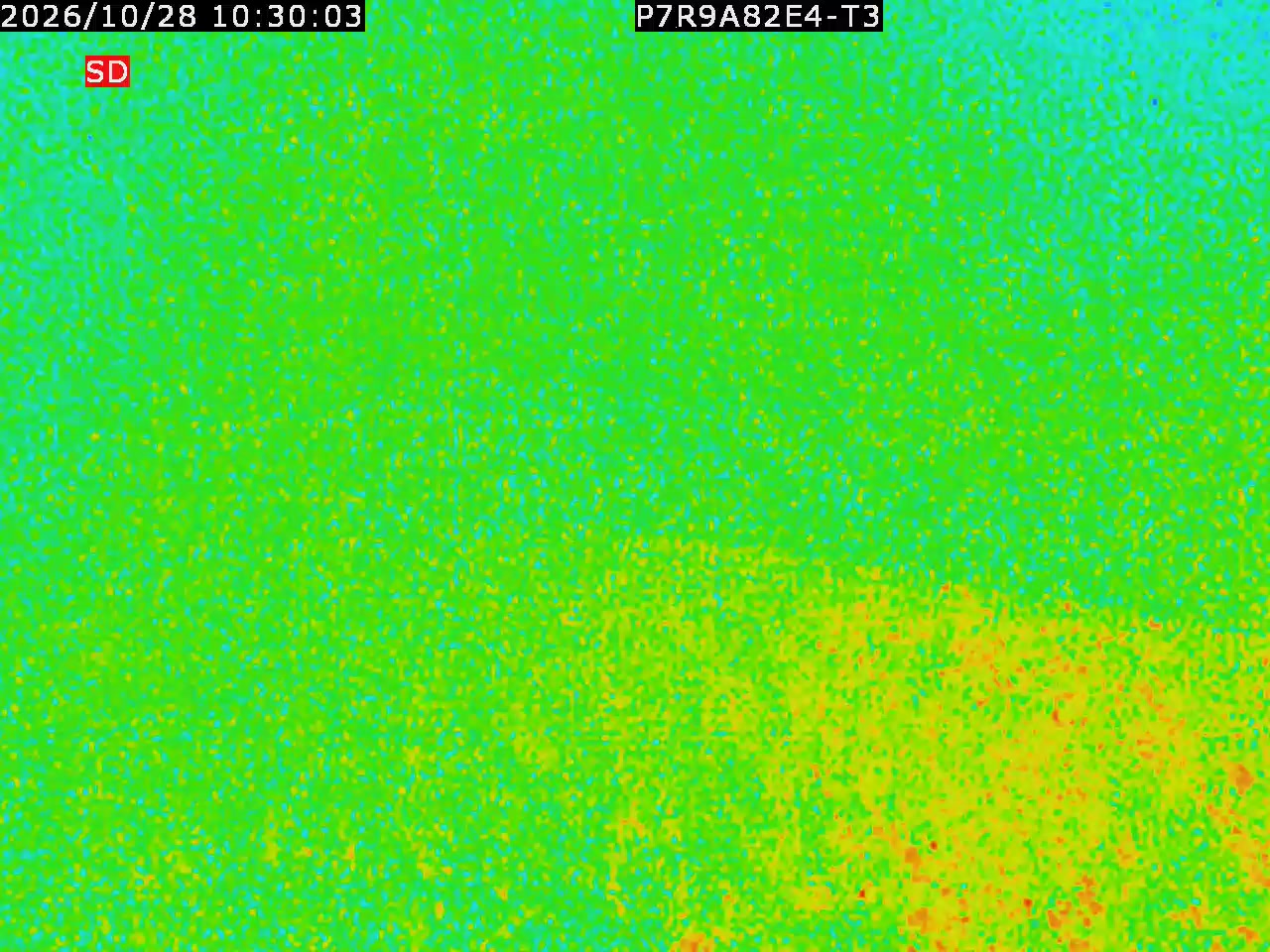 thermal-lilin_202610281030.mp4