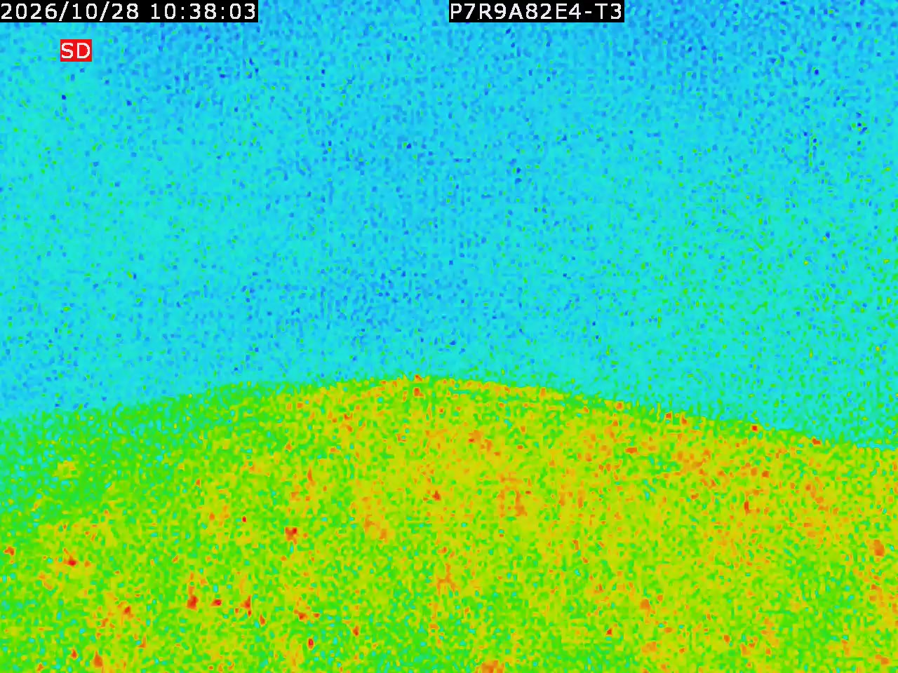 thermal-lilin_202610281038.mp4