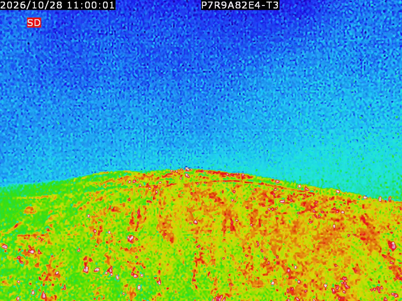 thermal-lilin_202610281100.mp4