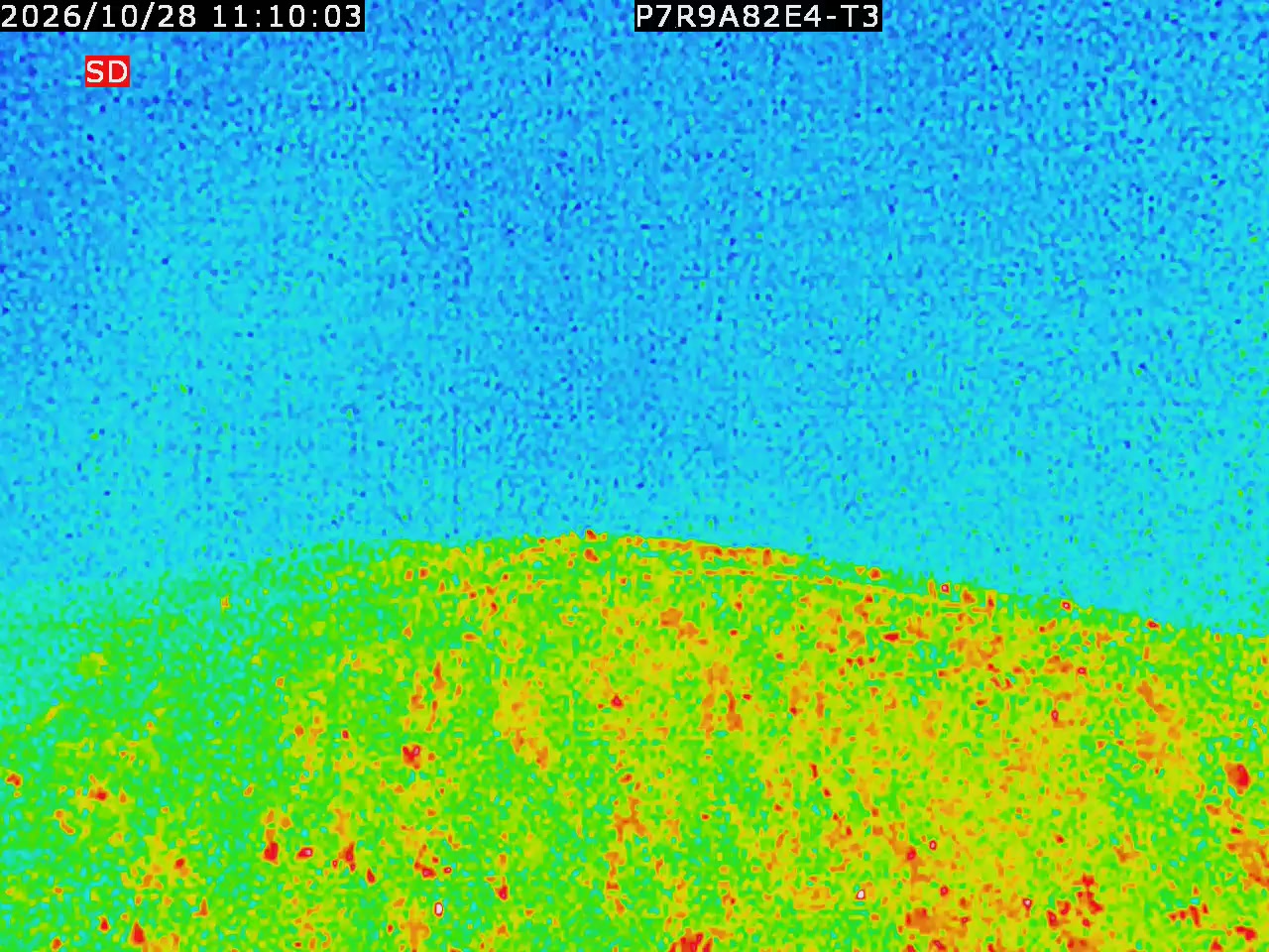 thermal-lilin_202610281110.mp4