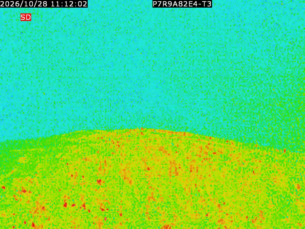 thermal-lilin_202610281112.mp4