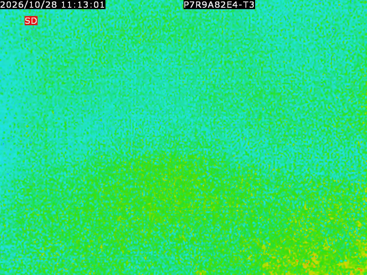 thermal-lilin_202610281113.mp4