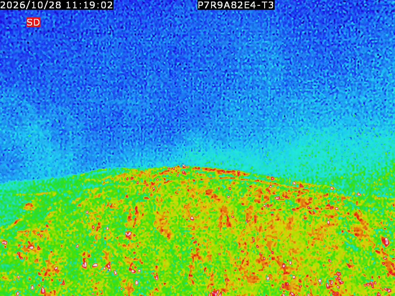 thermal-lilin_202610281119.mp4