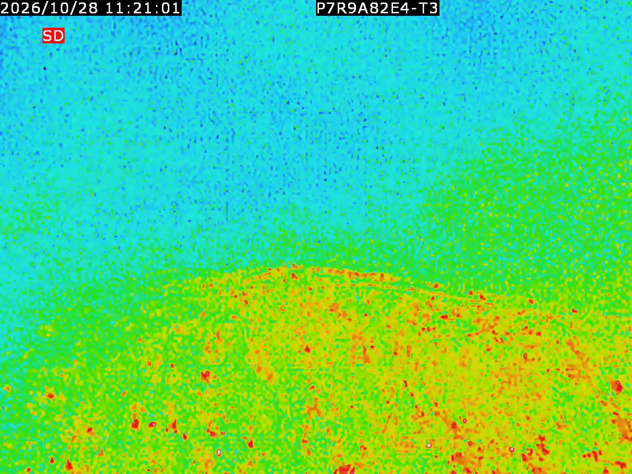 thermal-lilin_202610281121.mp4