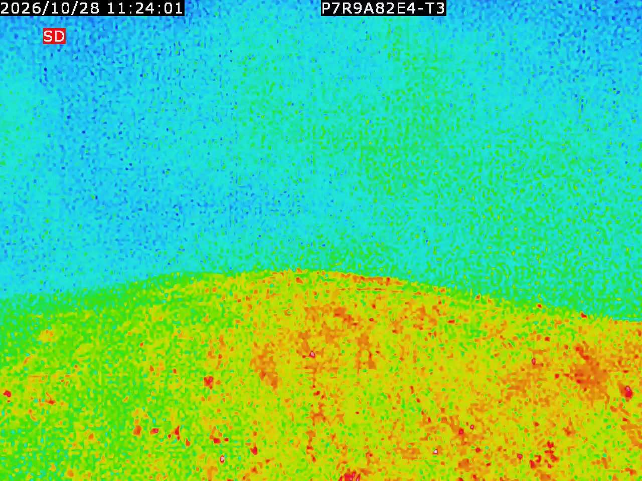 thermal-lilin_202610281124.mp4