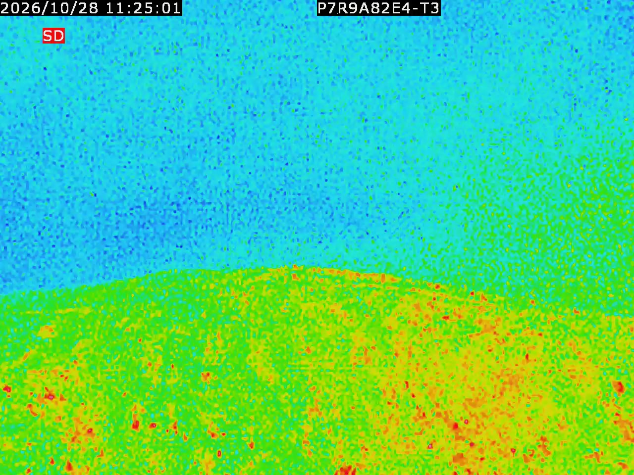 thermal-lilin_202610281125.mp4