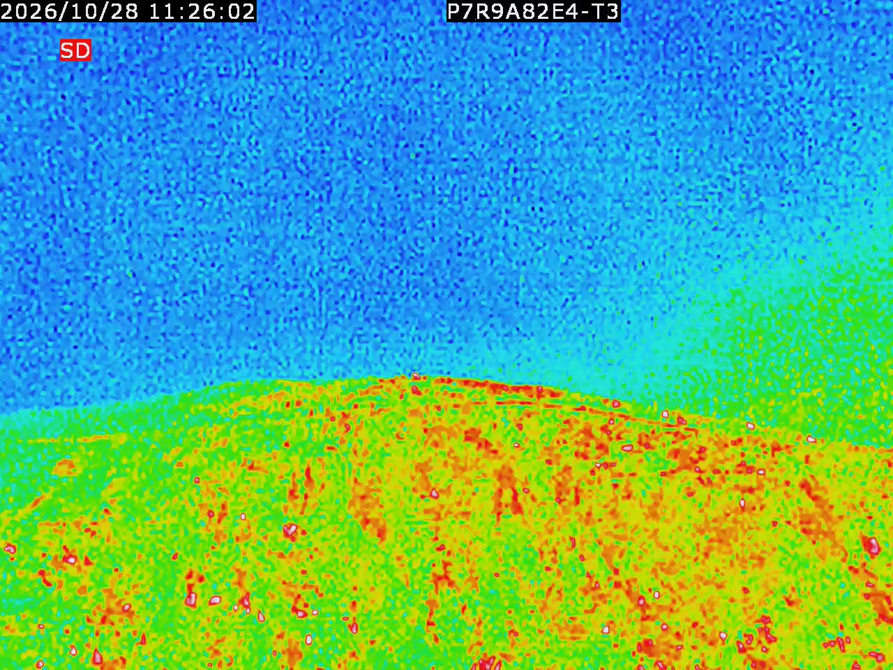 thermal-lilin_202610281126.mp4