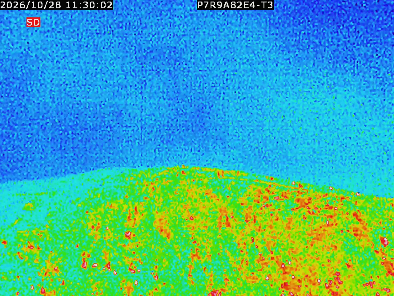 thermal-lilin_202610281130.mp4