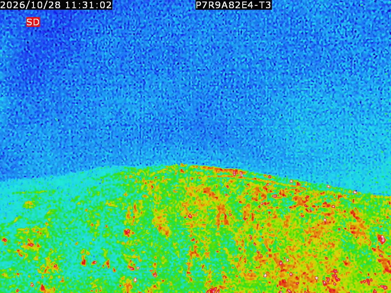 thermal-lilin_202610281131.mp4