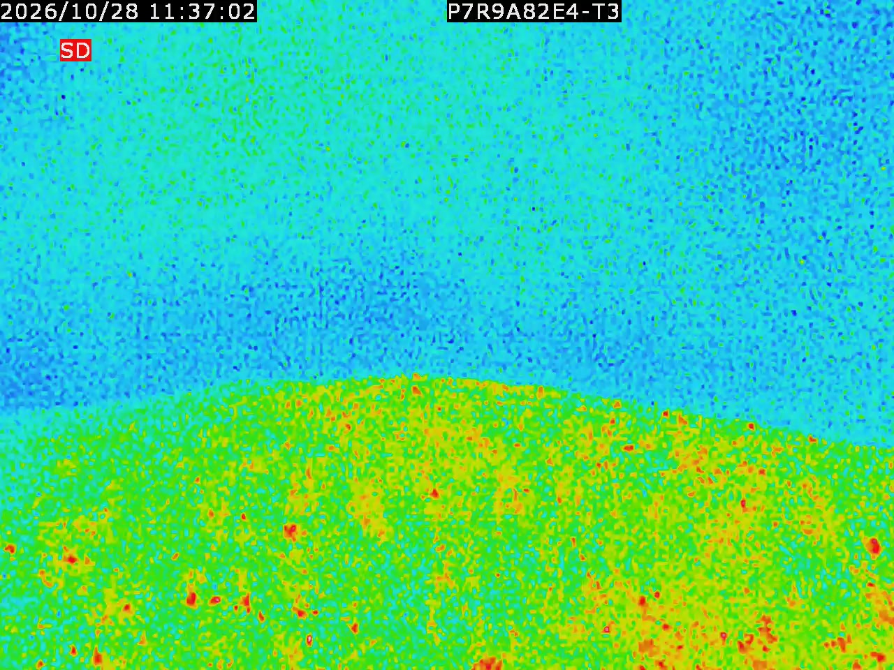thermal-lilin_202610281137.mp4
