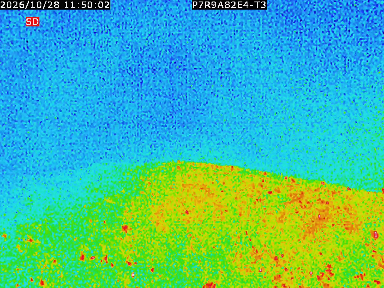 thermal-lilin_202610281150.mp4