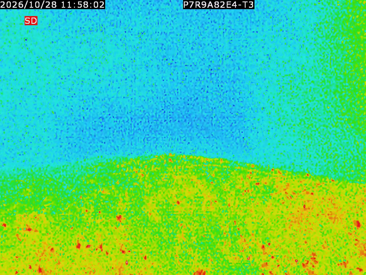 thermal-lilin_202610281158.mp4
