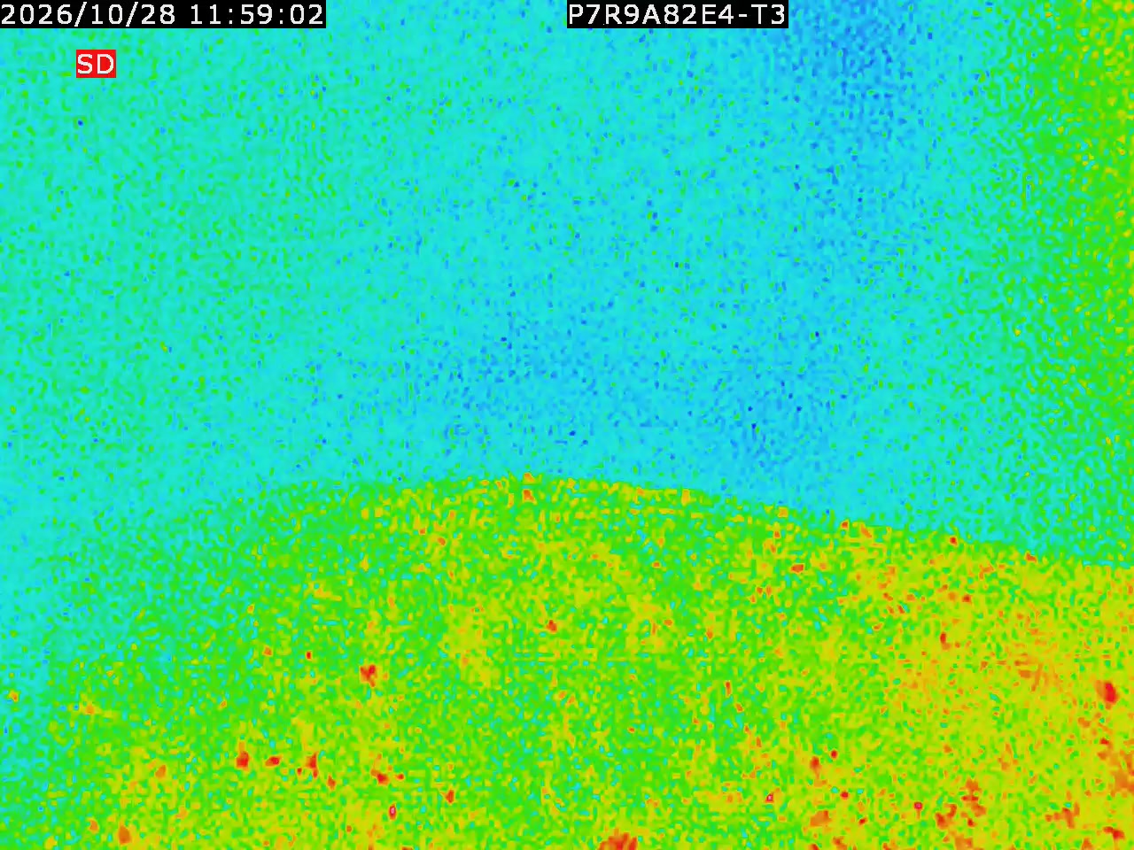 thermal-lilin_202610281159.mp4