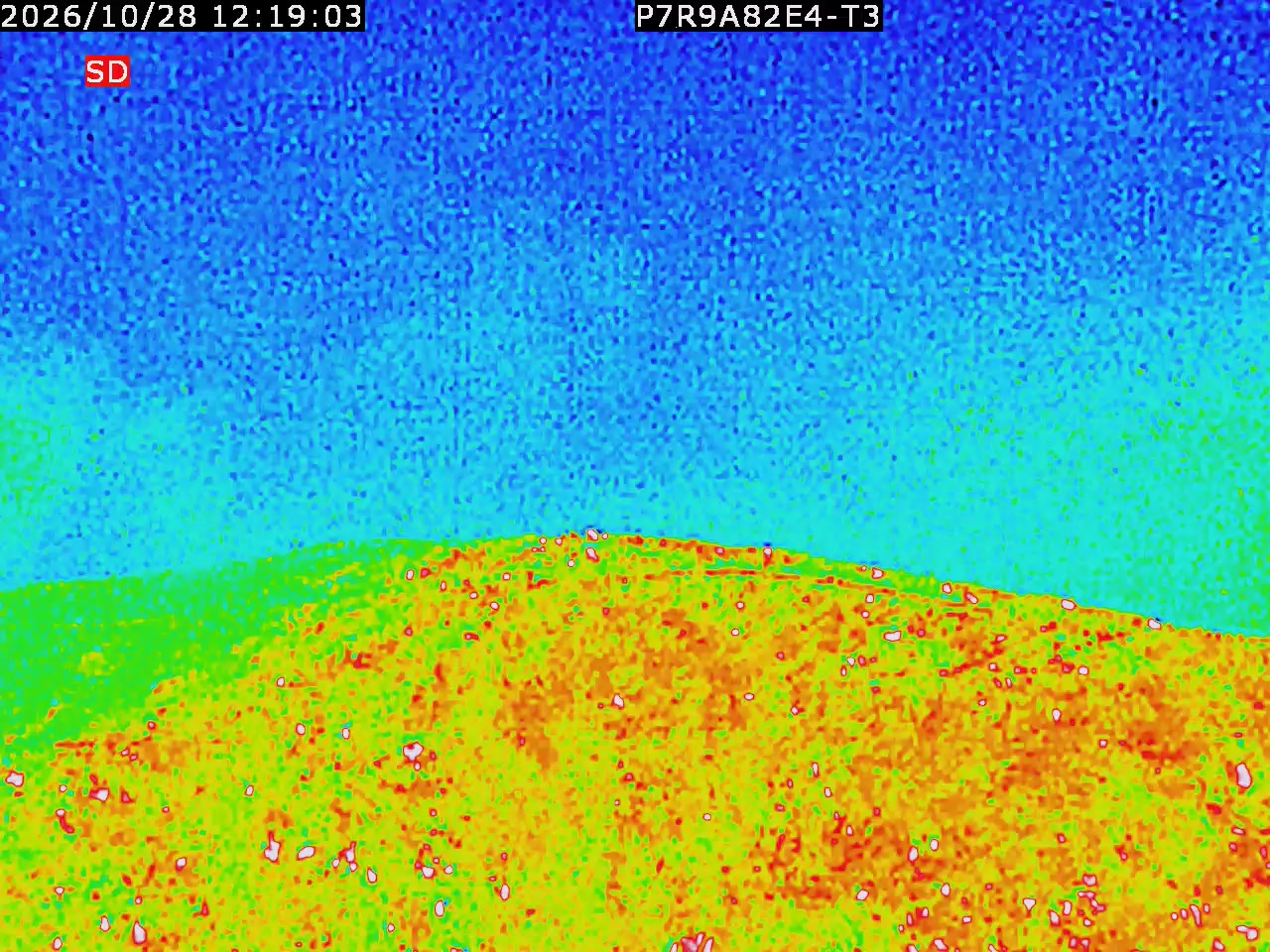 thermal-lilin_202610281219.mp4