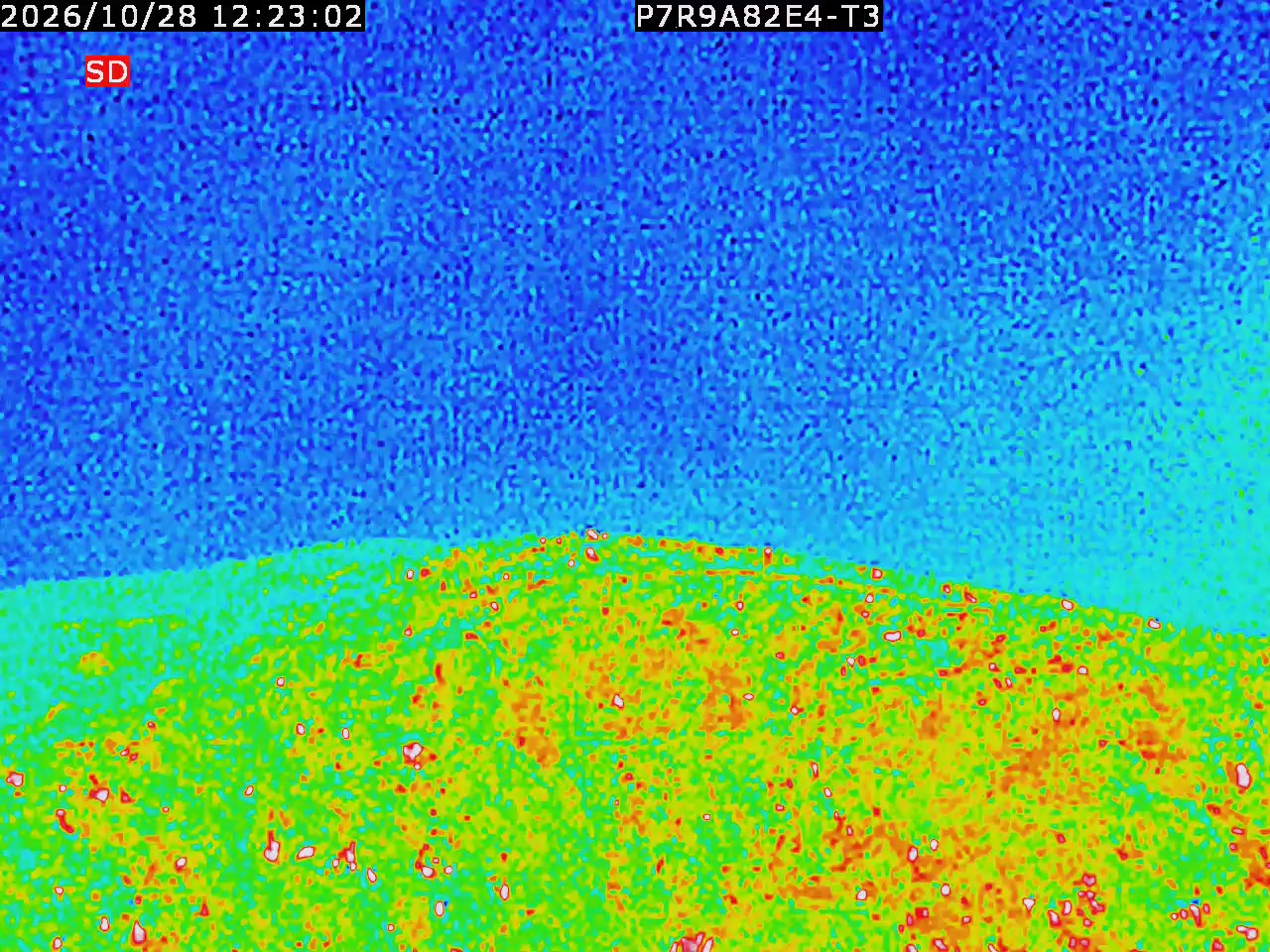 thermal-lilin_202610281223.mp4