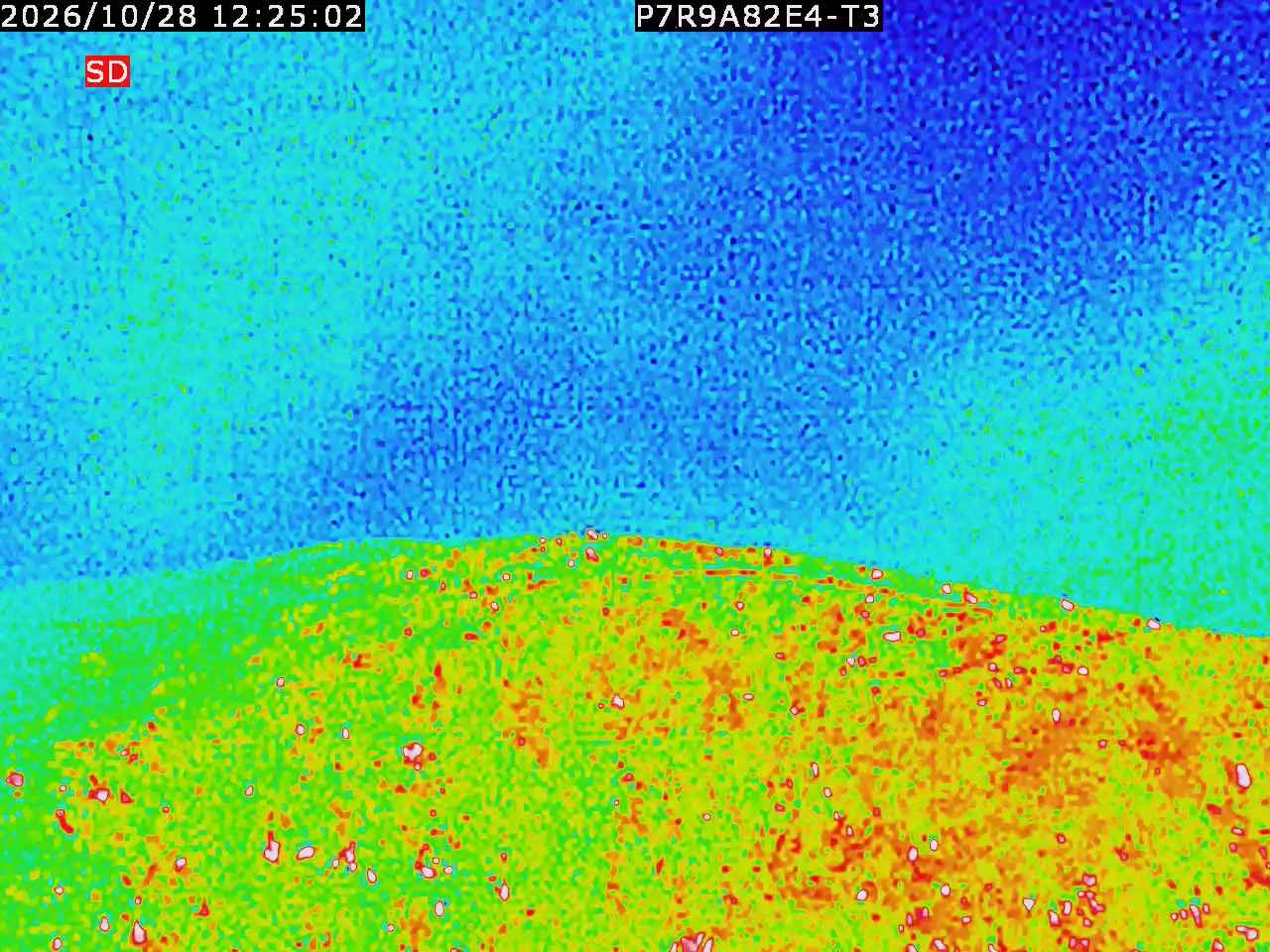 thermal-lilin_202610281225.mp4