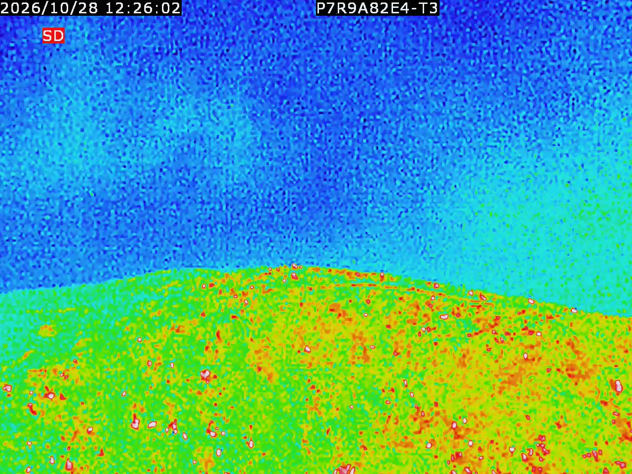 thermal-lilin_202610281226.mp4