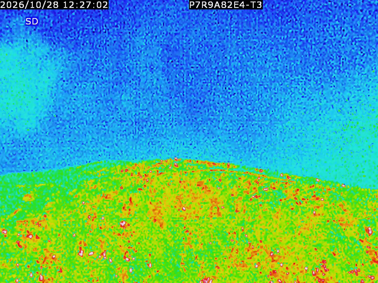 thermal-lilin_202610281227.mp4