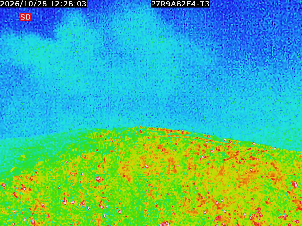 thermal-lilin_202610281228.mp4
