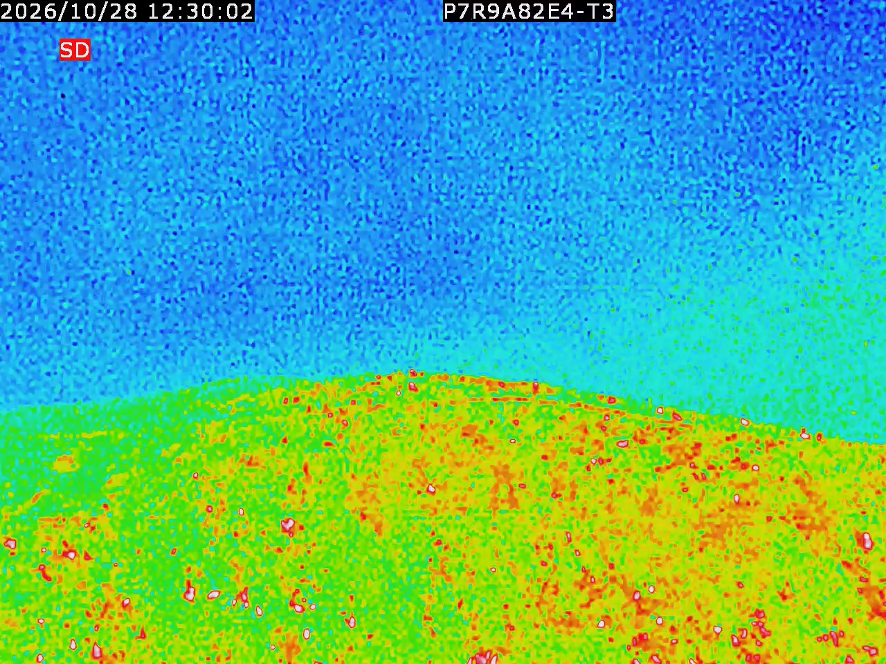 thermal-lilin_202610281230.mp4