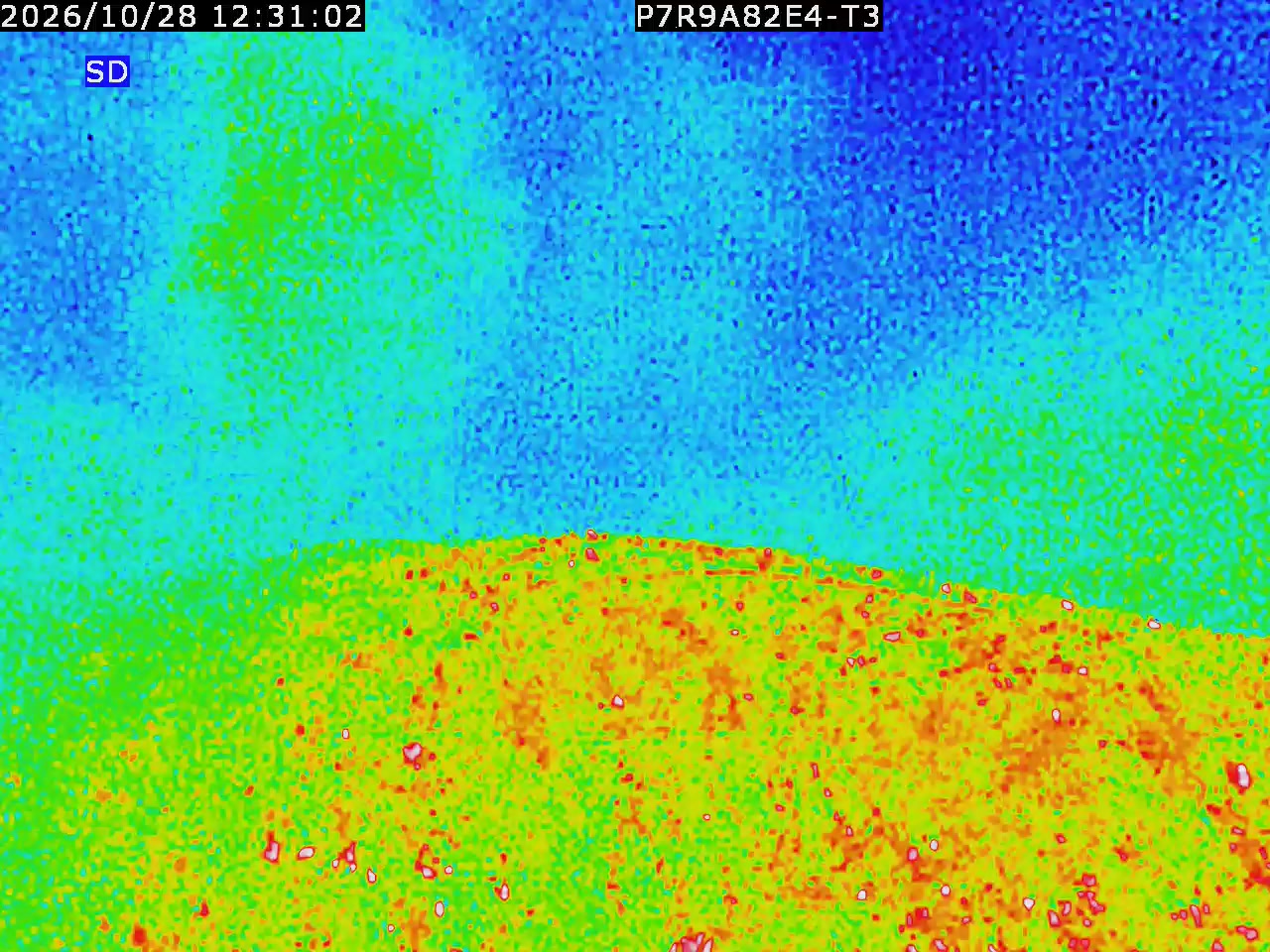 thermal-lilin_202610281231.mp4