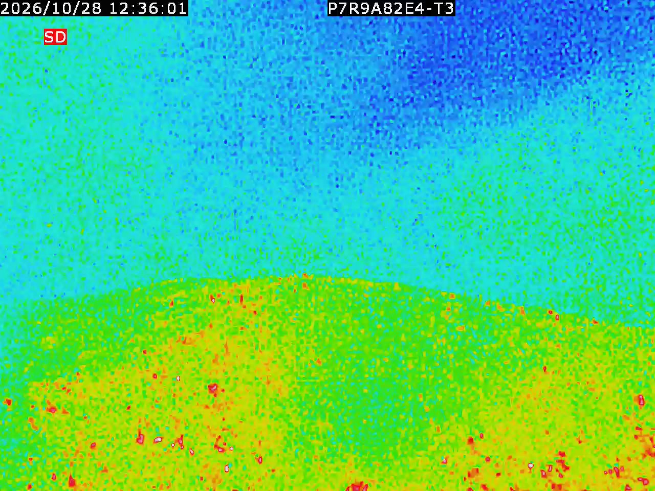 thermal-lilin_202610281236.mp4