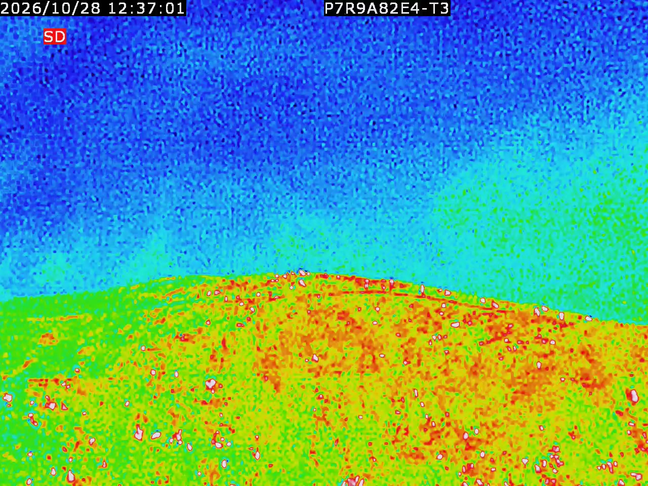 thermal-lilin_202610281237.mp4