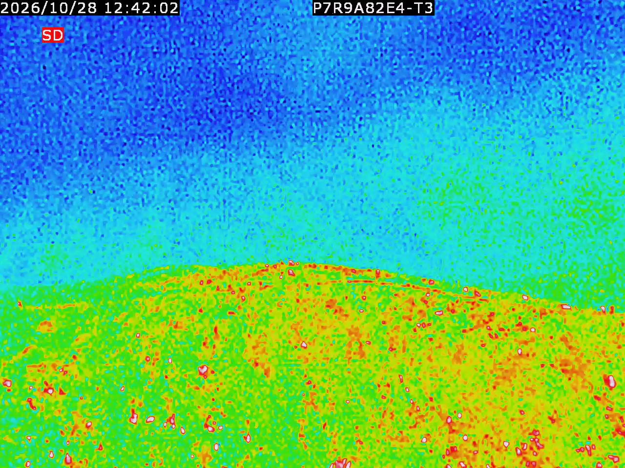 thermal-lilin_202610281242.mp4