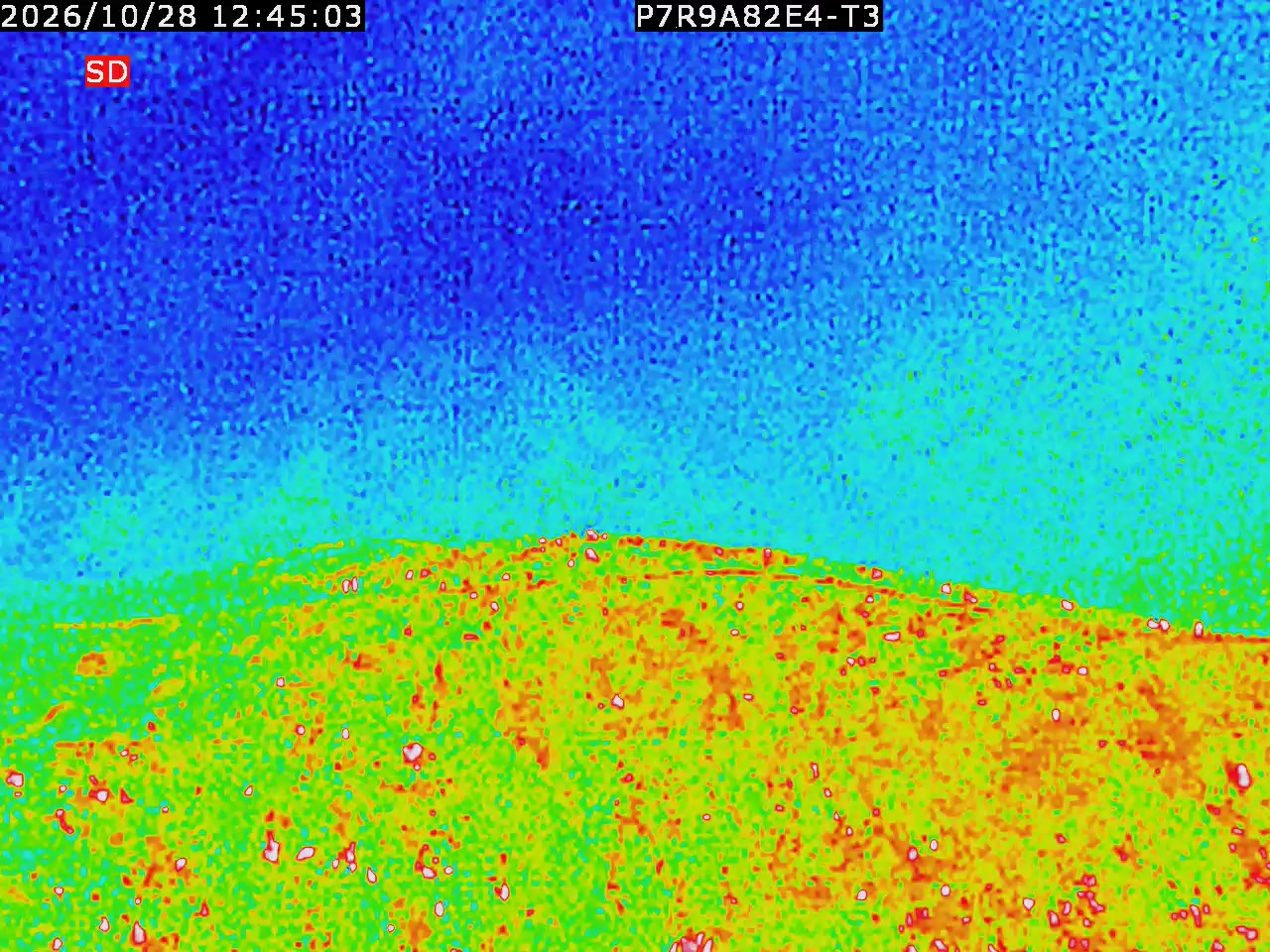 thermal-lilin_202610281245.mp4