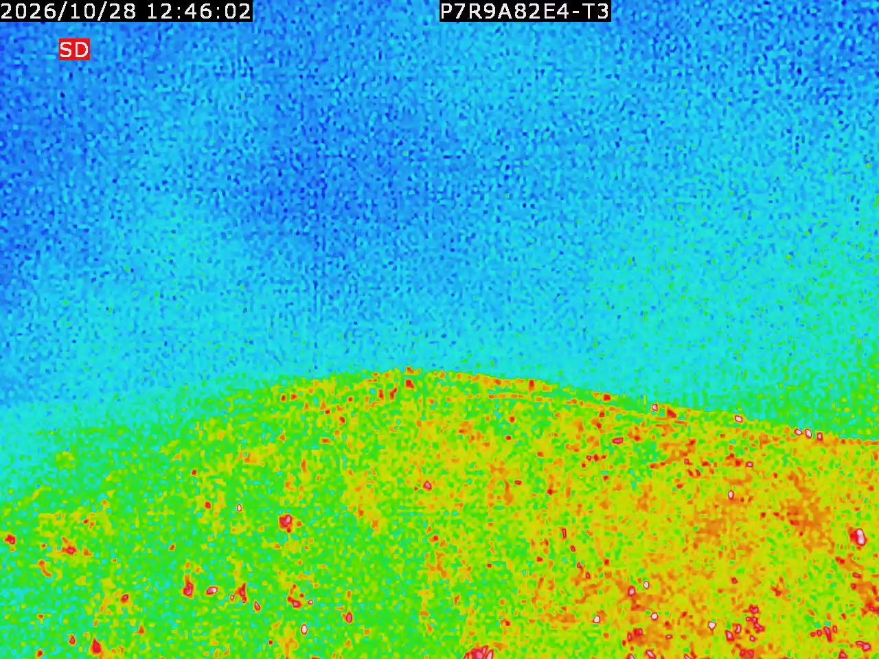 thermal-lilin_202610281246.mp4