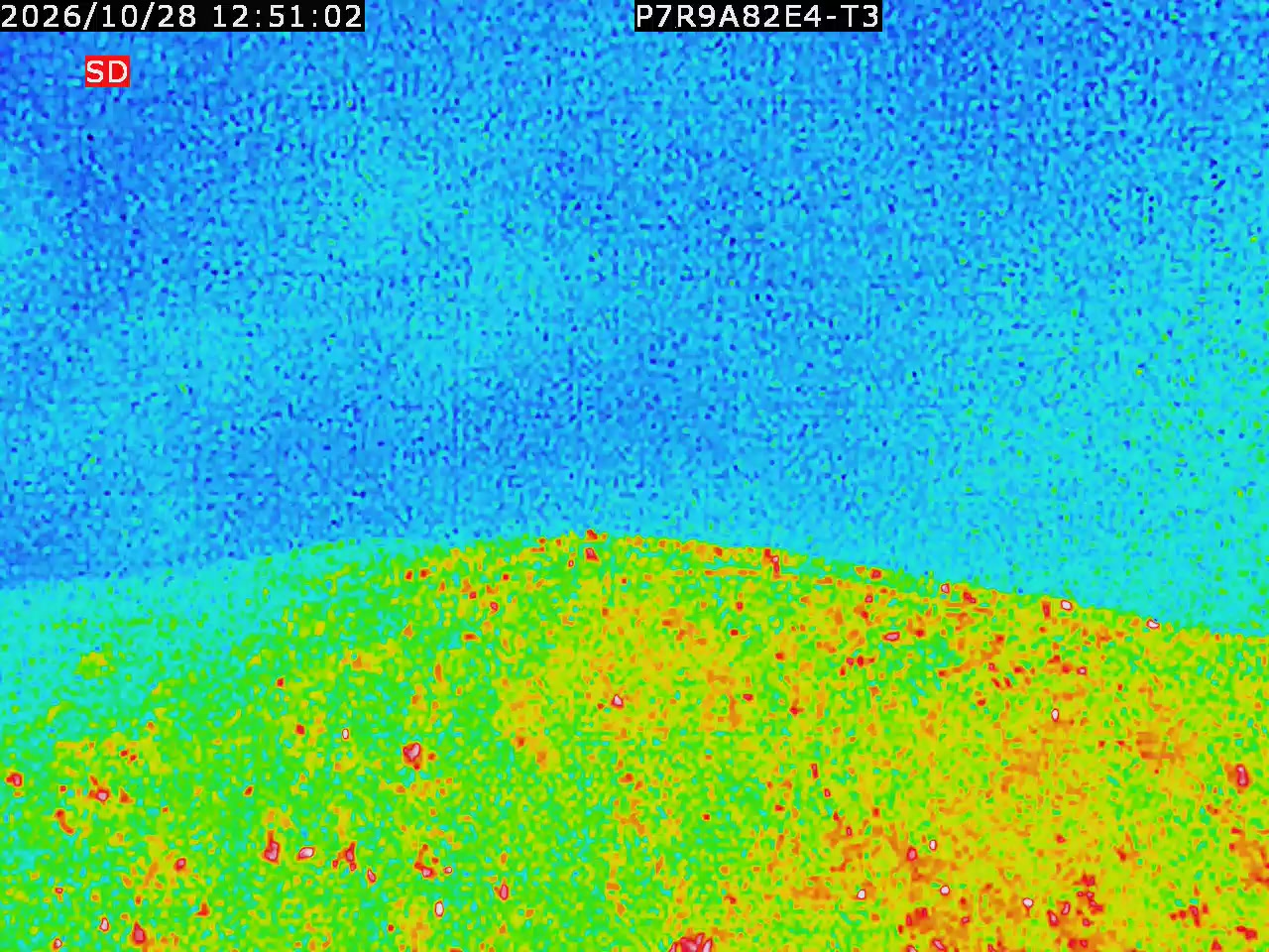 thermal-lilin_202610281251.mp4