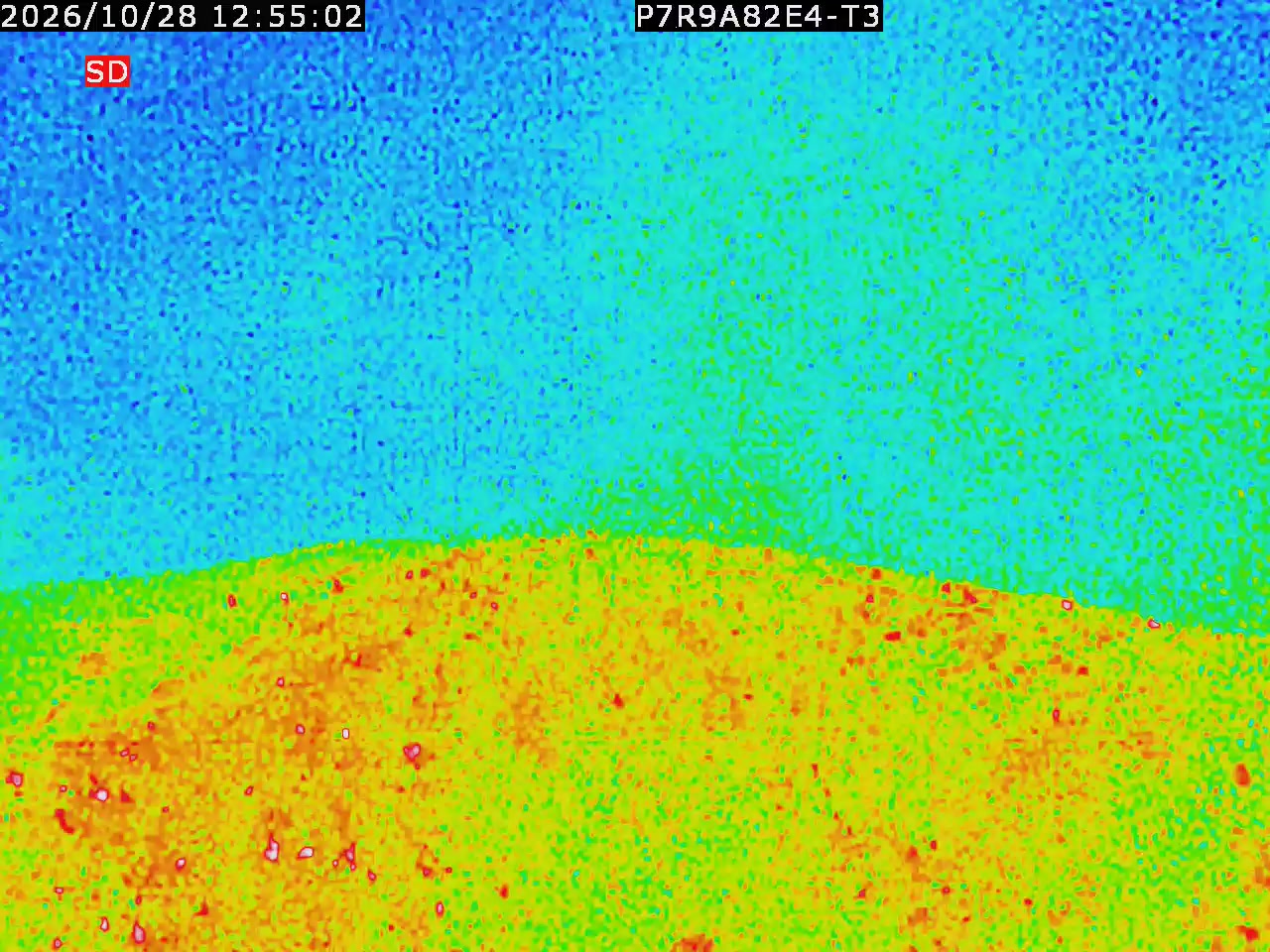 thermal-lilin_202610281255.mp4