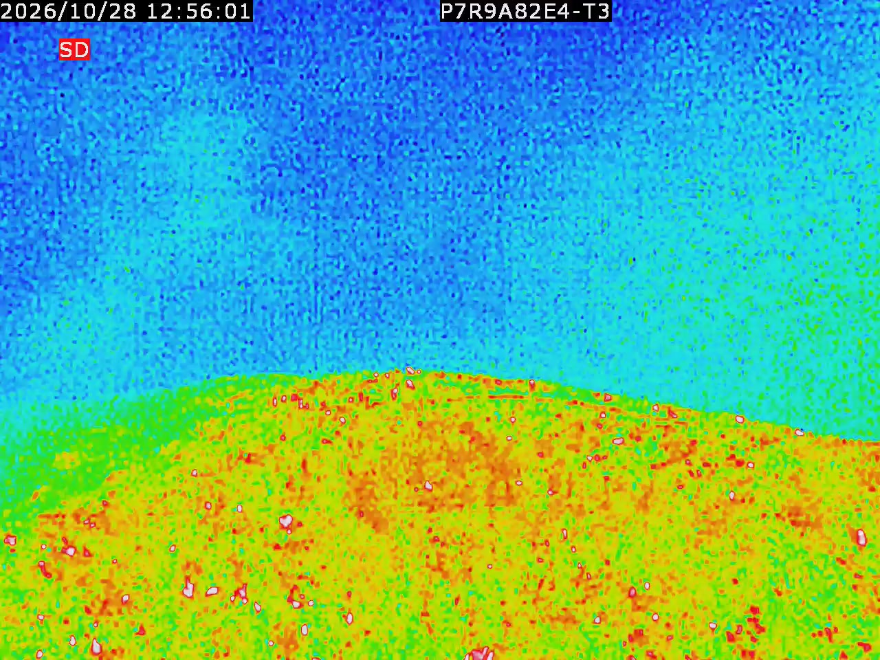 thermal-lilin_202610281256.mp4