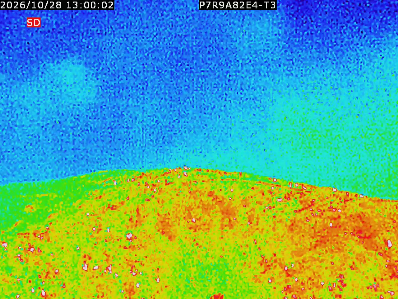 thermal-lilin_202610281300.mp4