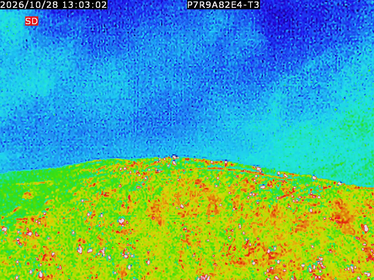 thermal-lilin_202610281303.mp4