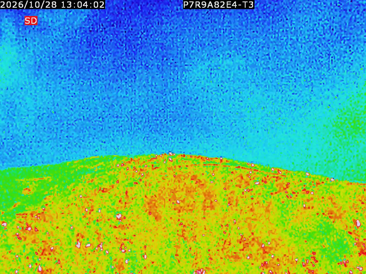 thermal-lilin_202610281304.mp4