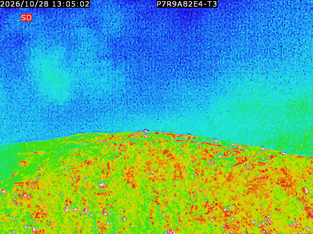 thermal-lilin_202610281305.mp4