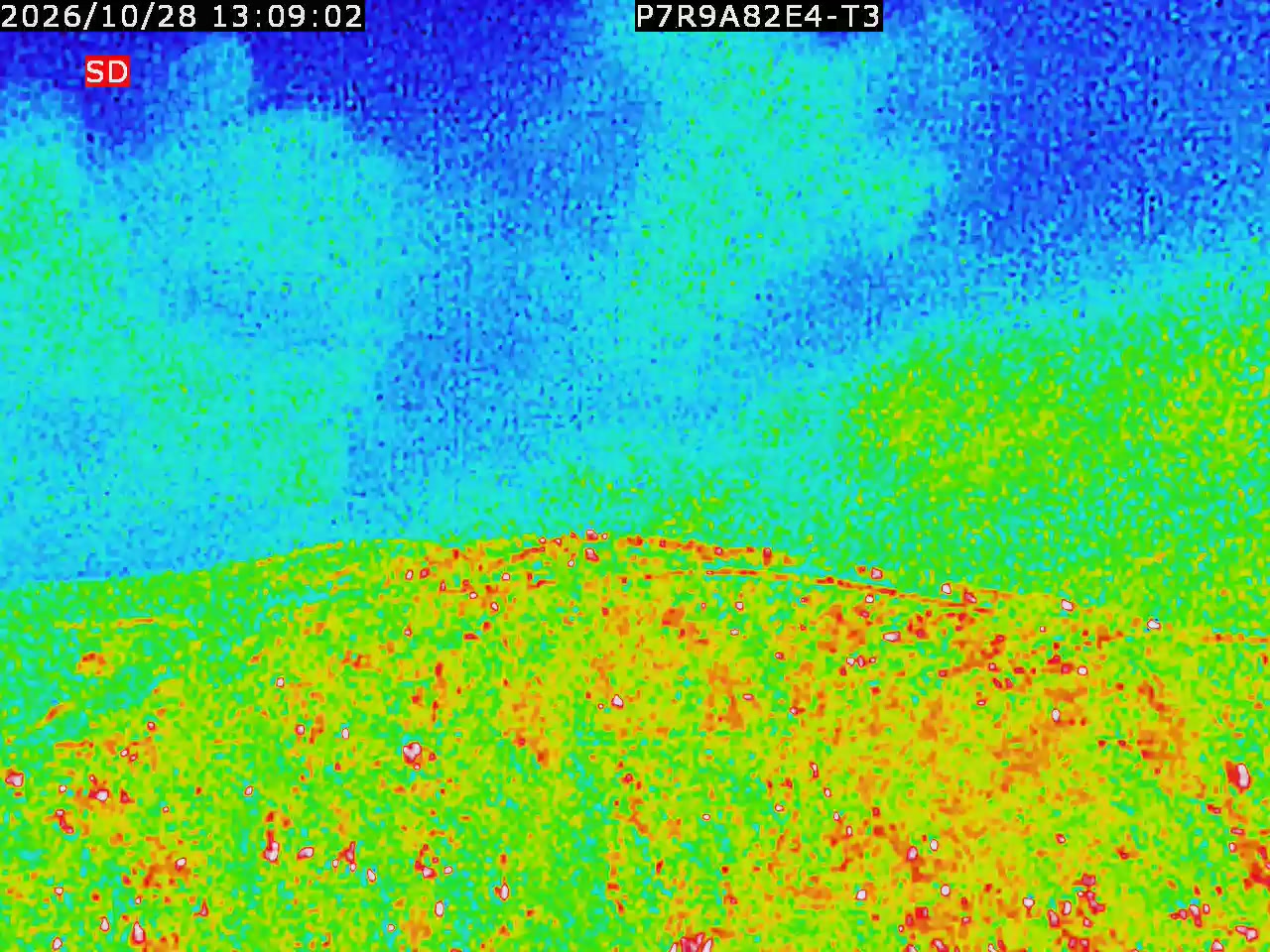 thermal-lilin_202610281309.mp4