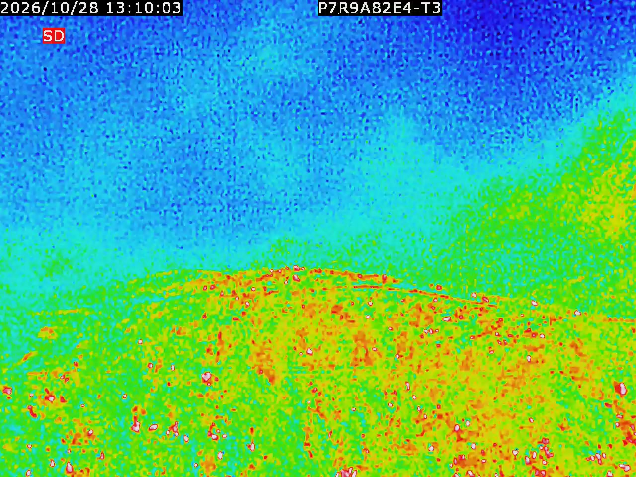 thermal-lilin_202610281310.mp4