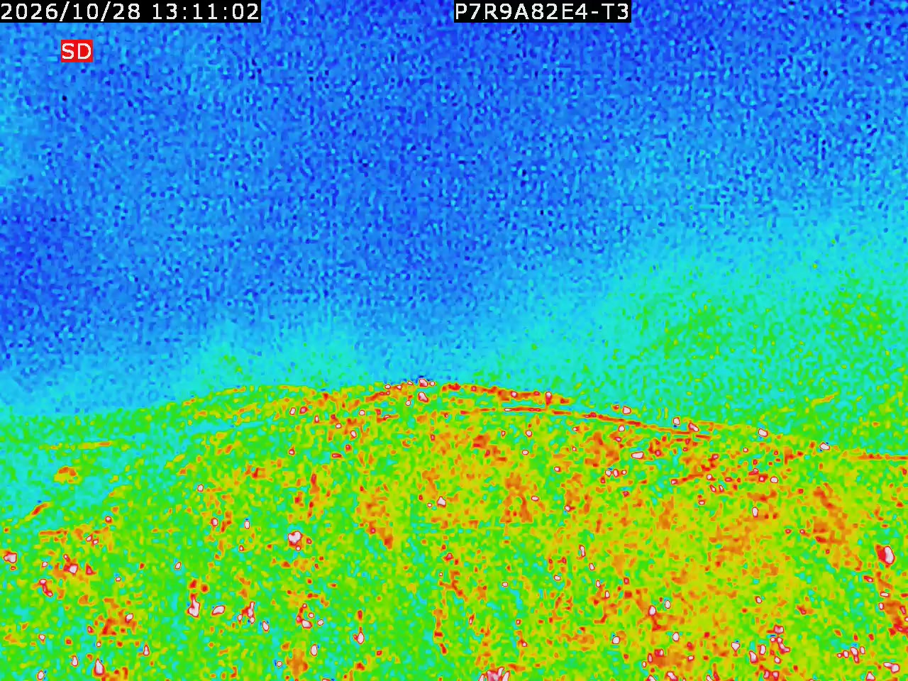 thermal-lilin_202610281311.mp4
