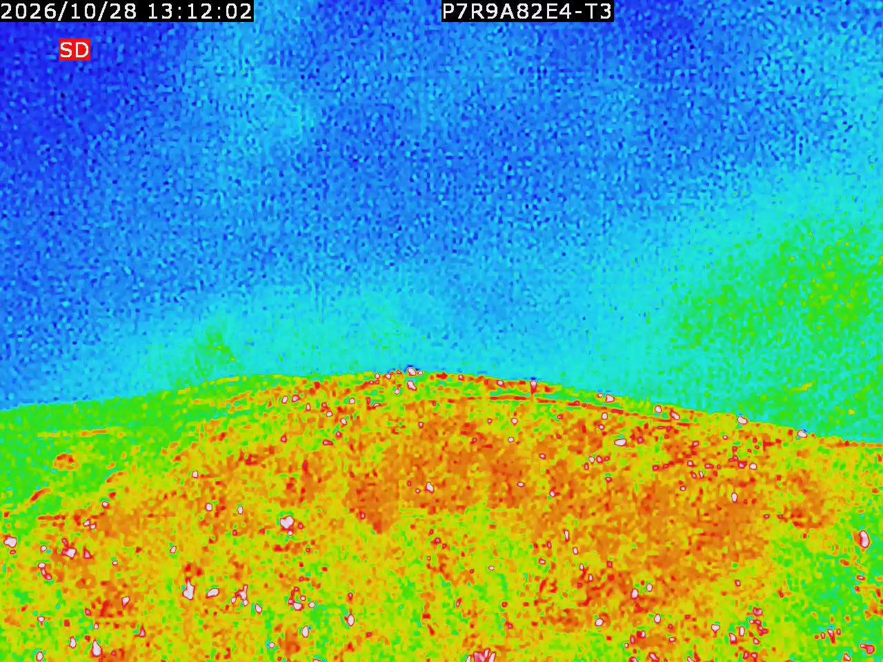 thermal-lilin_202610281312.mp4