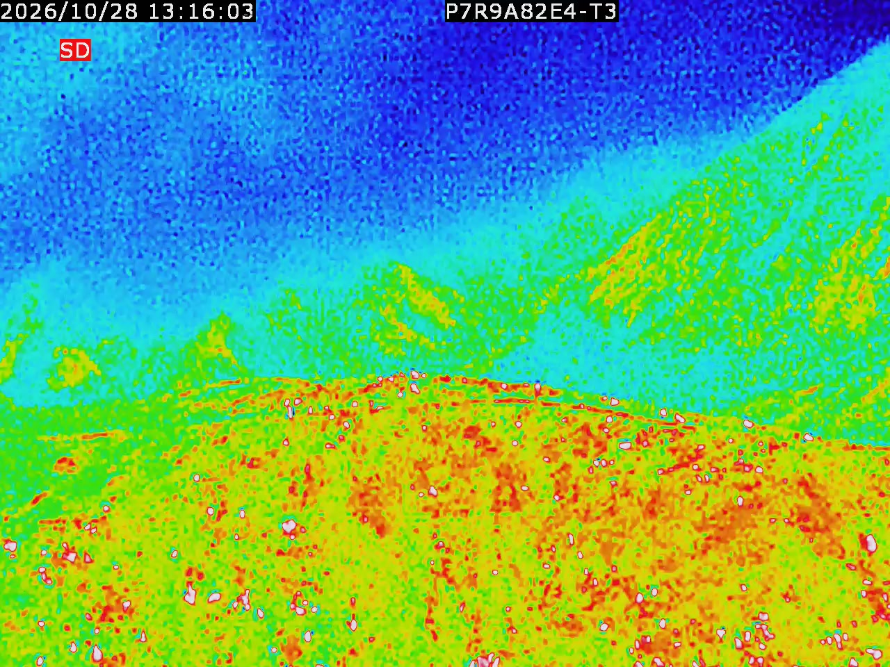 thermal-lilin_202610281316.mp4