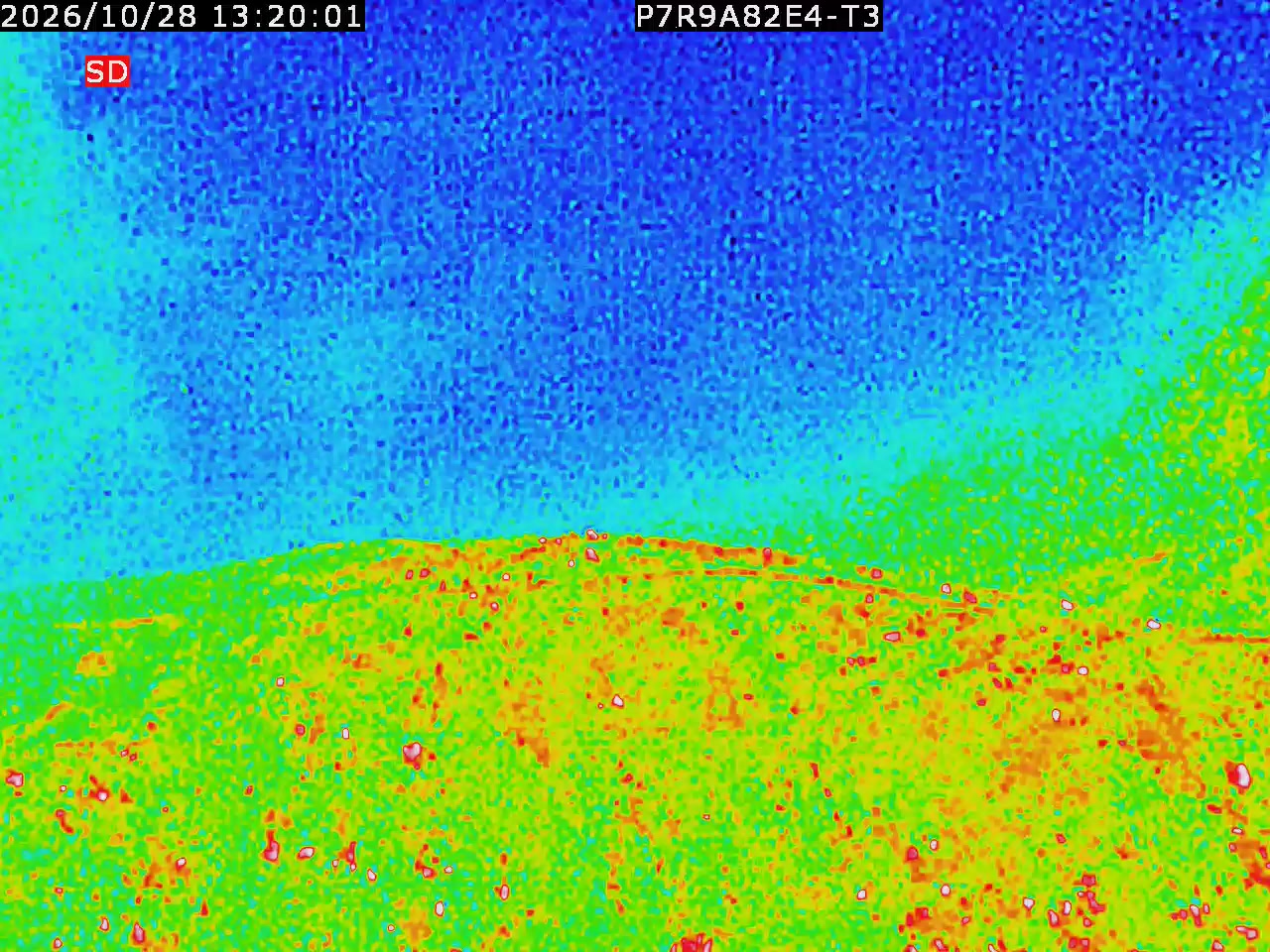 thermal-lilin_202610281320.mp4
