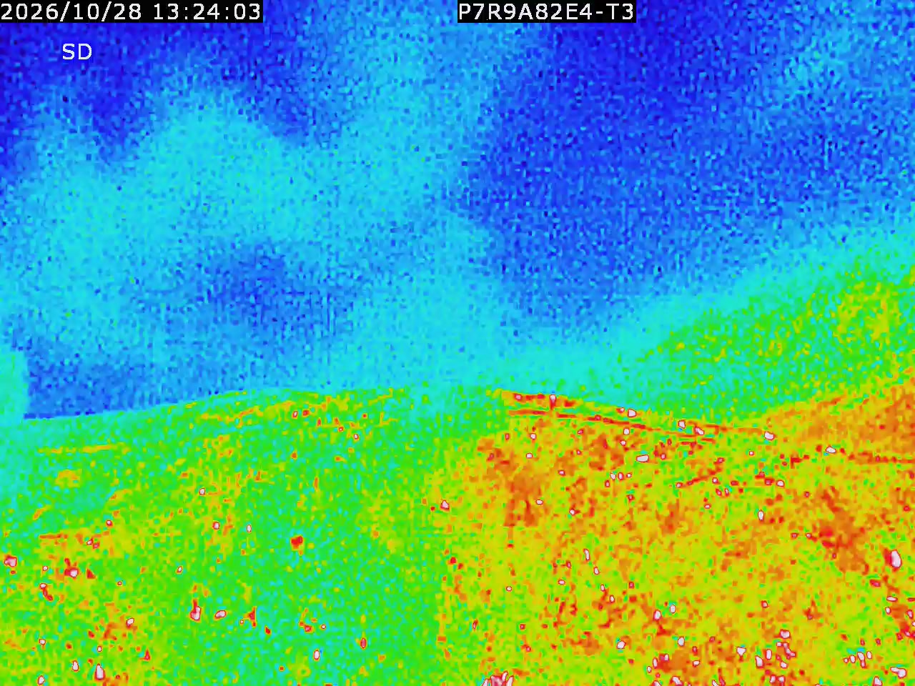 thermal-lilin_202610281324.mp4