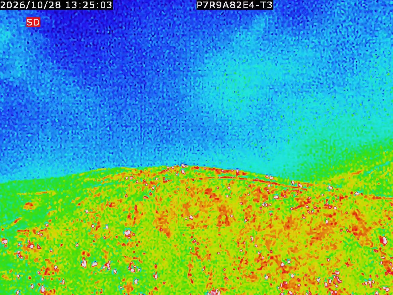 thermal-lilin_202610281325.mp4