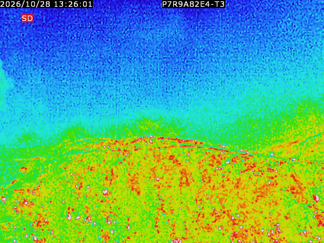 thermal-lilin_202610281326.mp4