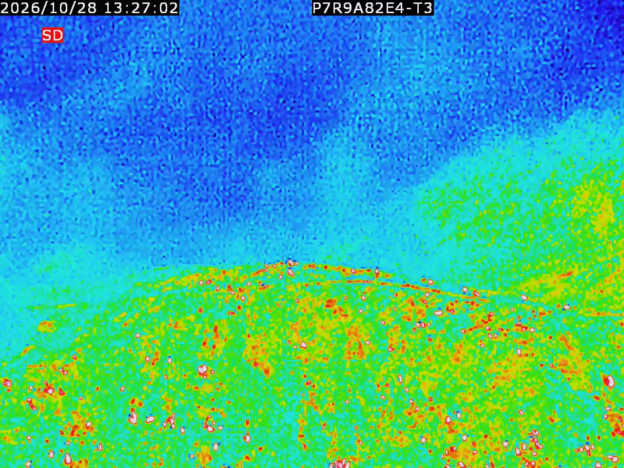 thermal-lilin_202610281327.mp4