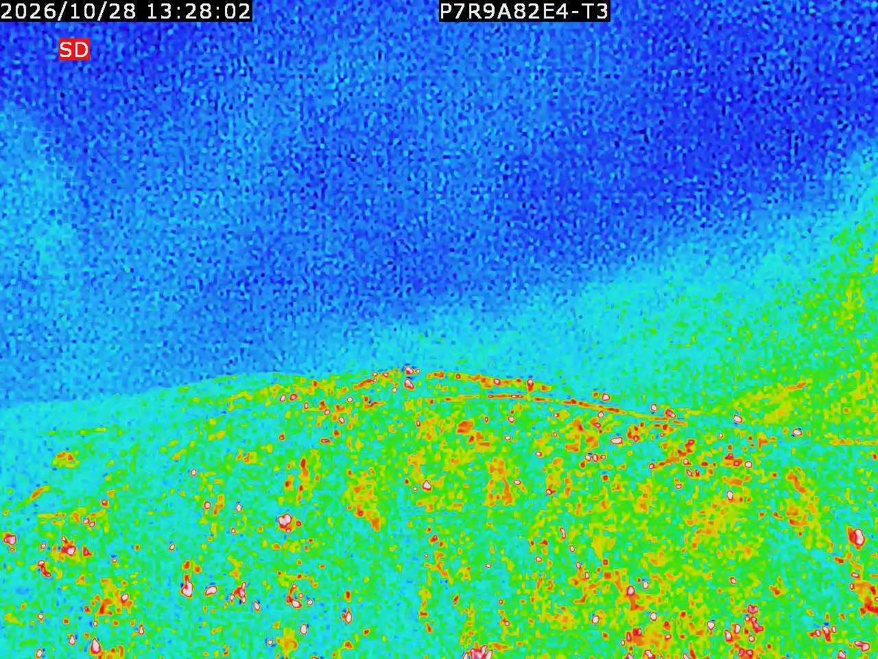 thermal-lilin_202610281328.mp4